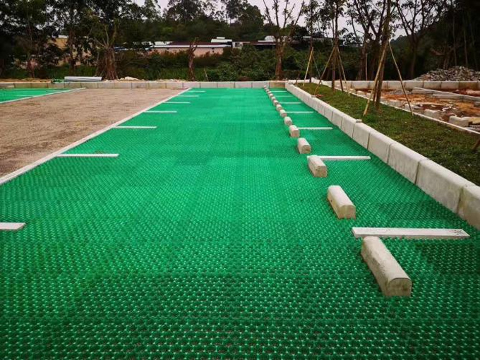 2023年5月  青島海大小学校植草格プロジェクト